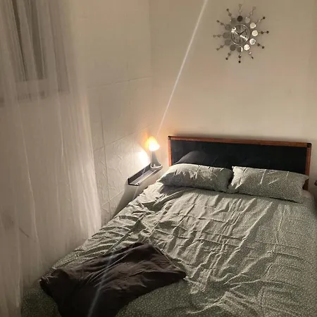 Tilia * Belgrade