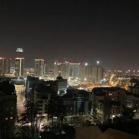 Tilia * Belgrade